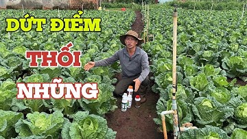 dứt điểm thối nhũng