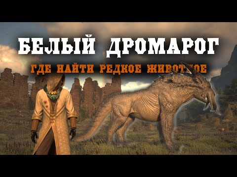 Как поймать белого ДРОМАРОГА супер РЕДКИЙ ЕЗДОВОЙ МАУНТ в Hogwarts Legacy RARE WHITE Dromarogen