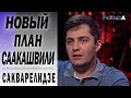 Саакашвили вернулся закончить начатое. Сакварелидзе о планах на выборы в Раду