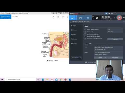 Video: Perbezaan Antara Sistem Reproduksi Lelaki Dan Wanita