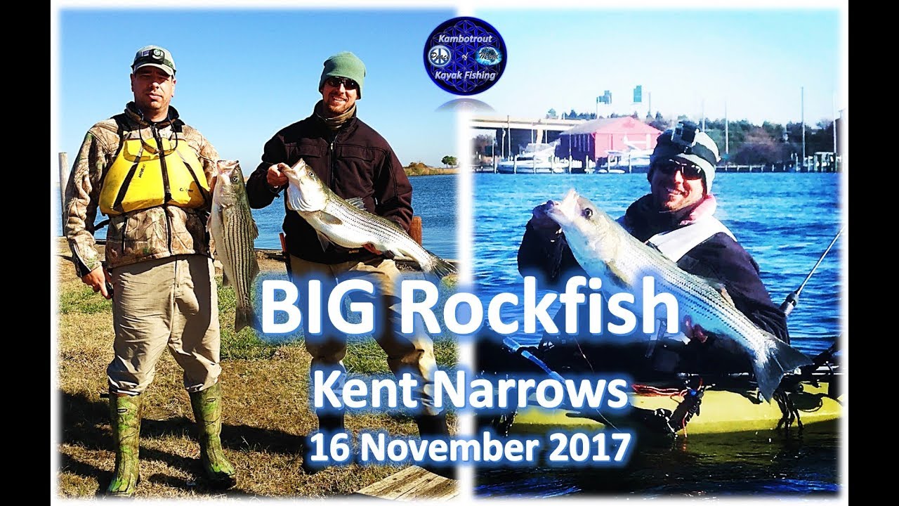 BIG Striper at Kent Narrows, Chester River, 16 November 2017 Complete - YouTube