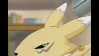 Renamon and Impmon Anytime You Need A Friend