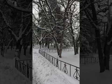 Боль... #камчатка #кино #фильм #мудрость #мотивация #боль #мужчина #муж #смех #грусть #груз #kamcha