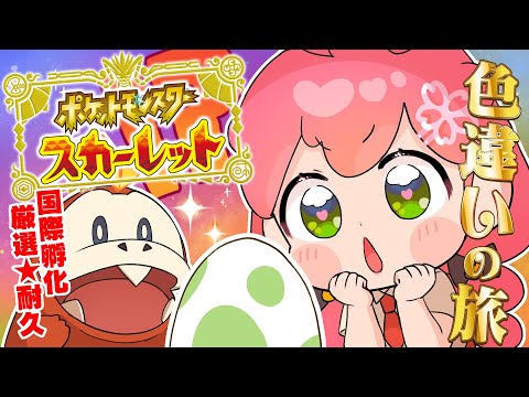 【 ポケモンSV 】１１日目 お？くるか！来る気がする！くるにぇ！～ ホゲータ色違いが欲しい旅 ～【ホロライブ/さくらみこ】