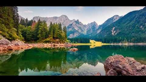 سورة آل عمران • عبد الرحمن الدلالي | Abdulrahman al-Dalali • Surah Al Imran