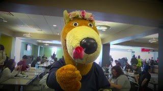 Zippy's Valentine's Day Dream Date Zippy's Valentine's Day Dream Date