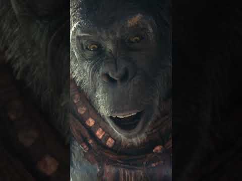 'Kingdom of the Planet of the Apes' Teaser Trailer #movie #trailer #planetoftheapes