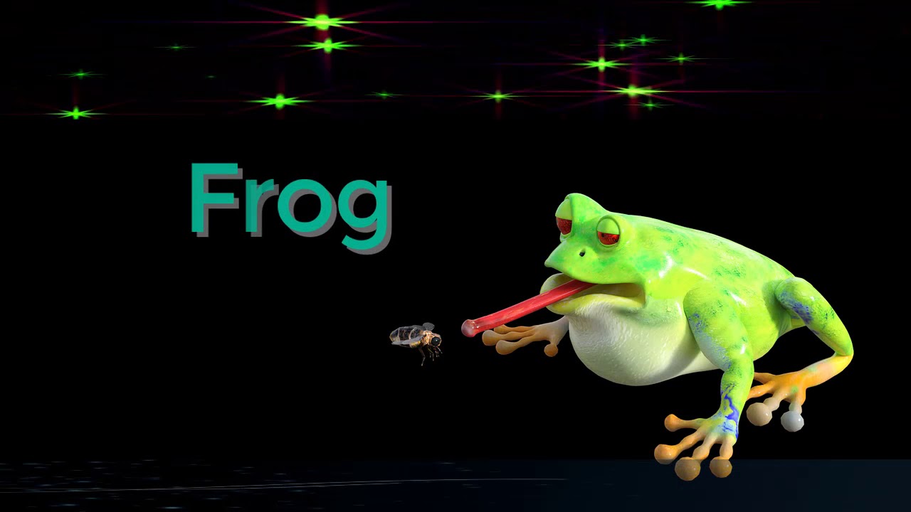 frog spirit animal spirit