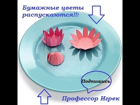 Бумажные цветы распускаются у вас на глазах!опыты с водой,опыты для детей.