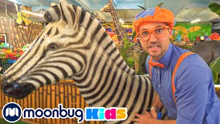 Blippi Orman Hayvanlarını Keşfediyor | Blippi Türkçe | Çocuk Çizgi Filmleri | Moonbug Kids Türkçe