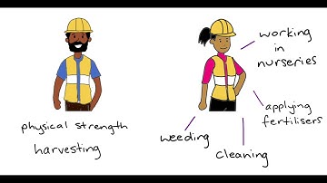 Labour Rights - Who is involved?