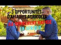 3 Opportunités d'affaires agricoles au rendement rentable en Afrique: commencez avec 100 000 Frs!