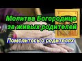 МОЛИТВА ЗА ЖИВЫХ РОДИТЕЛЕЙ О ЗДРАВИИ И БЛАГОПОЛУЧИИ МОЛИТВА ЗА ЖИВЫХ РОДИТЕЛЕЙ О ЗДРАВИИ И БЛАГОПОЛУЧИИ