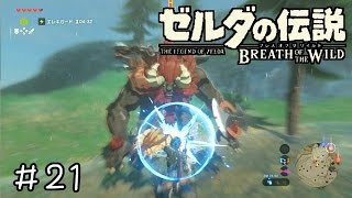 【実況】ゼルダの伝説BotW　＃２１　【直撃したらエレキガードとか関係ない】