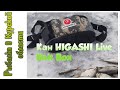 Подлещик на зимнюю поплавочную удочку. Тестирую Кан HIGASHI Live Bait Box