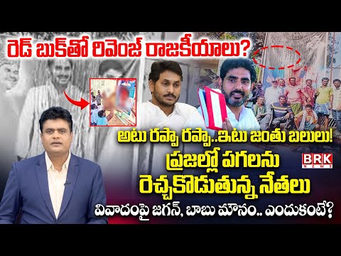 Journalist Chidambar On  YSRCP Leaders Smeared Jagan's Photo with Blood During Birthday Celebrations - TV9