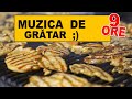 MUZICA DE GRATAR - 9 ORE de muzica LIVE #gratar #petrecere #lautareasca #petrecerelaromani #populara