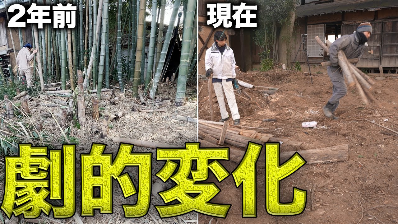 【スッキリ】荒れ果てた竹林が2年間で劇的に変わった…【380日目】
