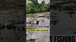 കിടിലൻ STRIKE.. #snakeheadfishing #snakehead #fishing #fish #fishingvideo #shorts #trending #strike