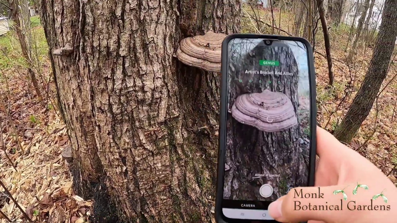 Nature Apps Explore Seek YouTube