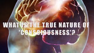 The Strange Phenomena of Split Brain. What is the True Nature of 'Consciousness'?