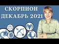 СКОРПИОН ДЕКАБРЬ 2021: Расклад Таро Анны Ефремовой 12+