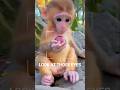 “Tiny Monkey & His Favorite Snack" 💛#shorts #cutemonkey #monkey #babymonkey #monkeyvideo