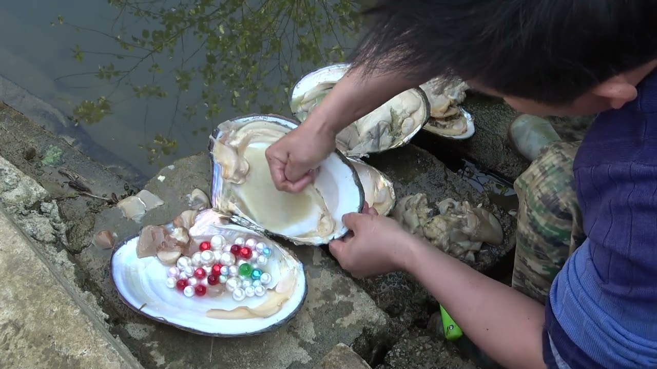 Pearl treasure! Beauty exploration captures mutated river clams, containing rare pearl treasures!