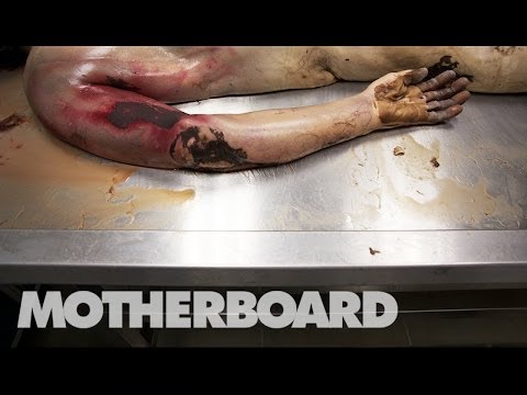 Video: Trailer With Corpses Found In Mexico