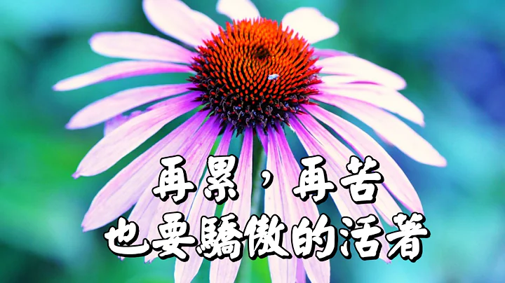 【人生苦短，親愛的自己，再累，再苦，也要驕傲的活着！】句句經典，一定要看！ - 天天要聞