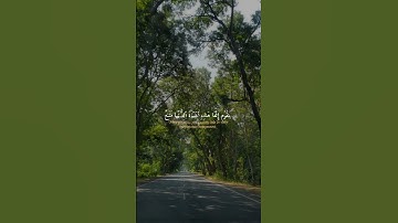 #القرآن_الكريم #اكسبلور #المصحف #قرآن #راحة_نفسية #تلاوة #اكتب_شي_تؤجر_عليه #ارجع_صلي #quran #تحفيز