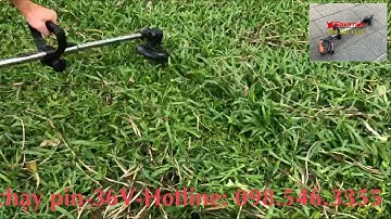 Máy cắt cỏ chạy pin 36V
