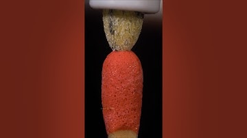 ASMR Marker pen on Matchstick close-up macro #shorts #satisfying #closeup #asmr #macro