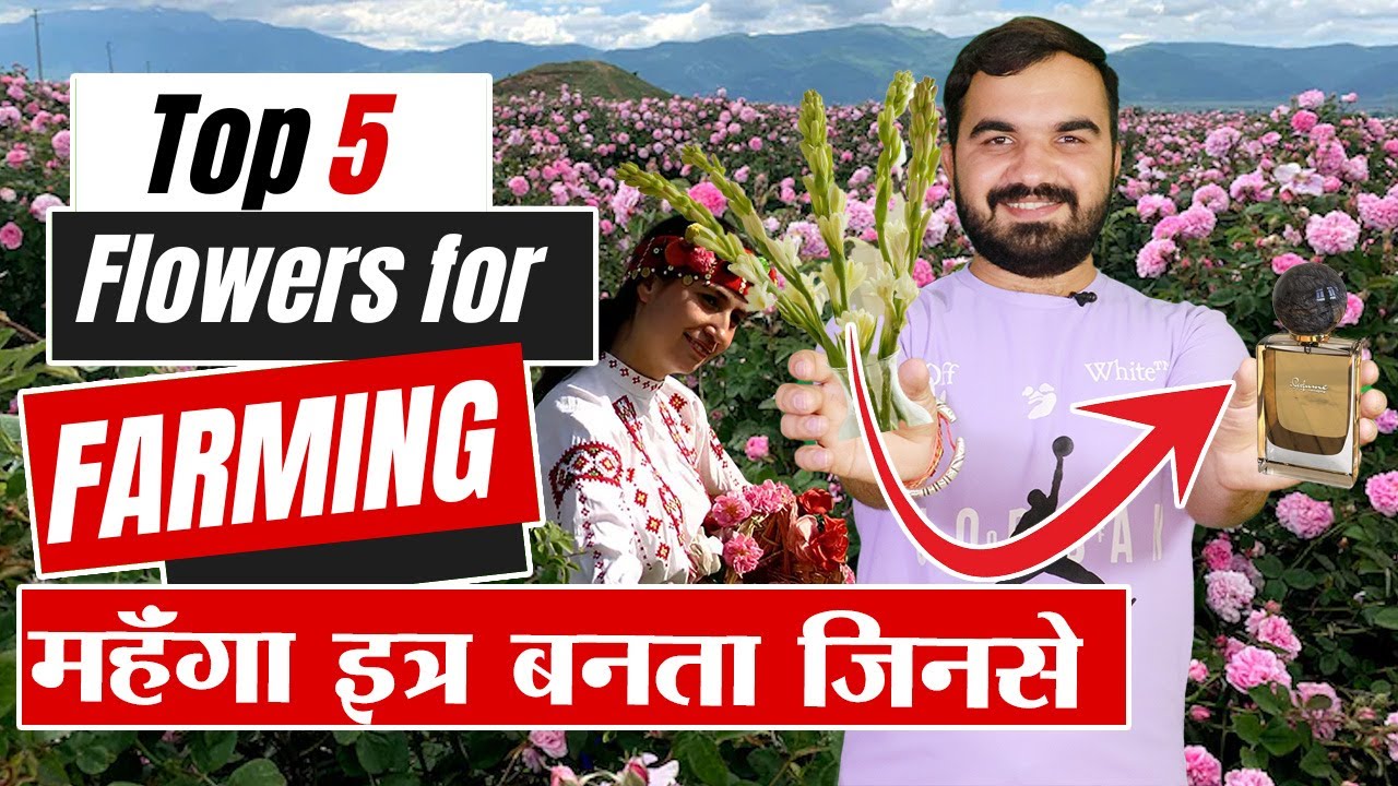 परफ्यूम वाले फूलों की खेती Top Flower Farming for Perfume and Scent