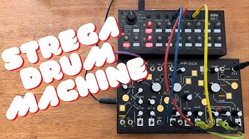Korg SQ-1 Percussion Generator with Make Noise Strega