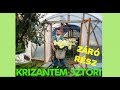 KRIZANTÉM SZTORI záró rész |MELÓ VIDEÓ|