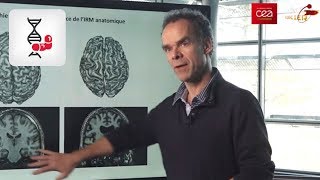 [Interview] Cerveau : la maladie d’Alzheimer