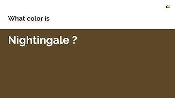 Nightingale color #5c4827 hex color - Yellow color - Cool color 5c4827