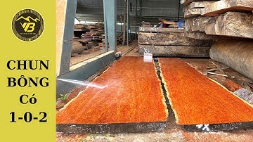 Lên Sóng Tấm Mặt Bàn CHUN BÔNG HIẾM GẶP |Chuyên Gỗ Khủng|