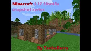 Minecraft 1.17 20w48a ep2 into the nether and a  underwater ancient village