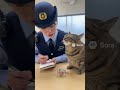 ツナ缶を食べた犯人は誰だ?🐾|猫さんと警察官の取り調べがかわいすぎる🥰【Sora2】#shorts #ai #sora2