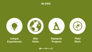 Study Abroad 101: Short-Term Programs