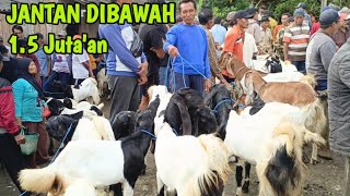 Download Lagu  UPDATE HARI INI HARGA KAMBING DI PASAR KLIWON DONGKO TRENGGALEK JATIM TERBARU @HargaTernak  MP3