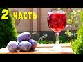 ВИНО ИЗ СЛИВЫ !!! Сливовое вино ПРОСТОЙ РЕЦЕПТ Часть 2