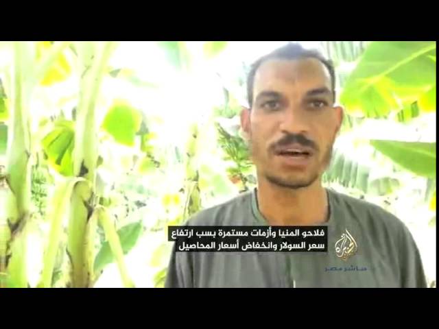 فلاحو المنيا وأزمات مستمرة بسبب ارتفاع سعر السولار وانخفاض أسعار المحاصيل