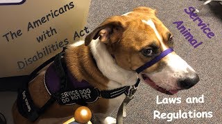 ADA Service Animal Laws and Regulations