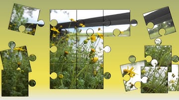 Jigsaw Picture Animation by PowerPoint