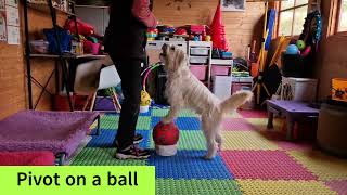 10 Tricks with a ball