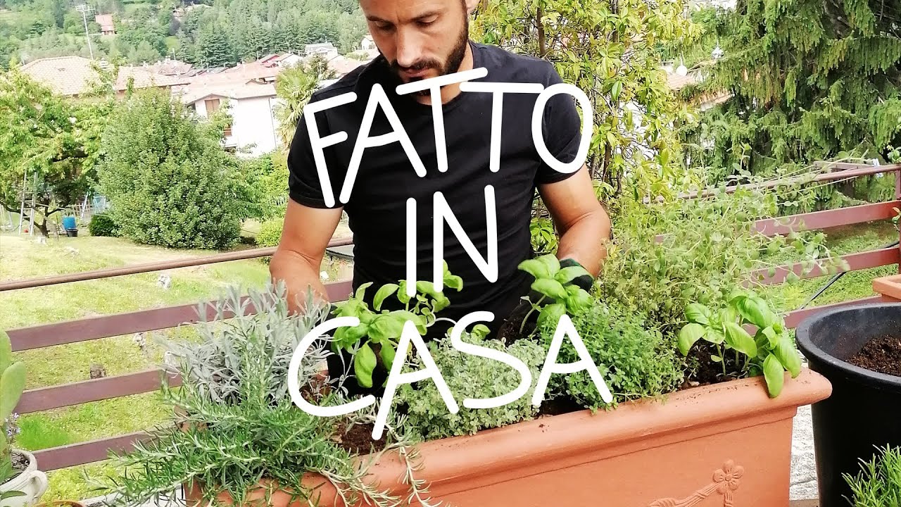 #DGFattoInCasa: the aromatic corner with Emanuele Rattiflora.