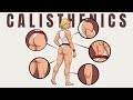 The 7 Reasons To Do Calisthenics